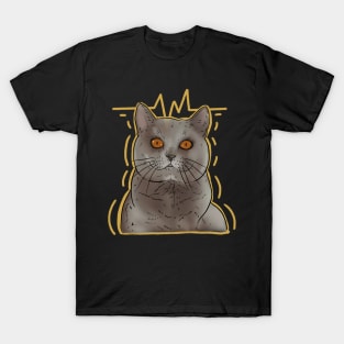 Shocked cat T-Shirt